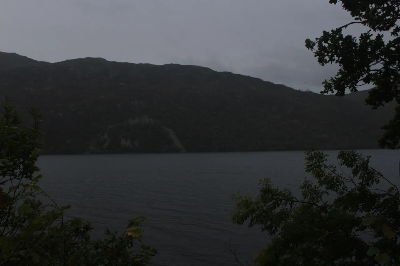 IMG_7651.JPG