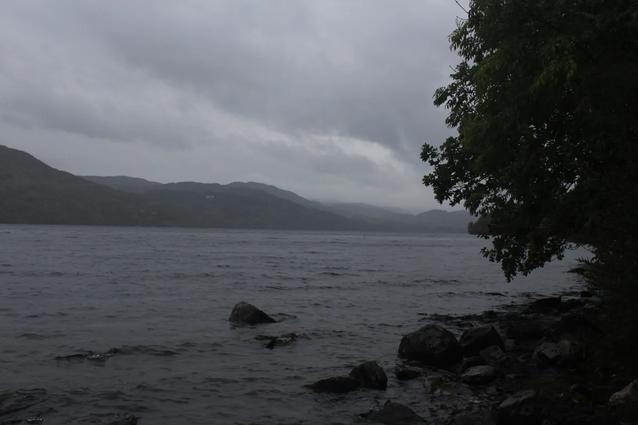 IMG_7654.JPG