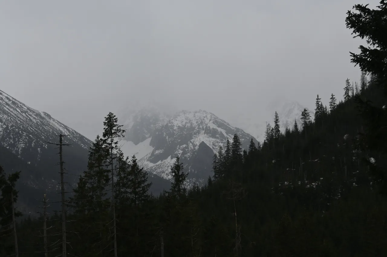 _DSC1136.JPG