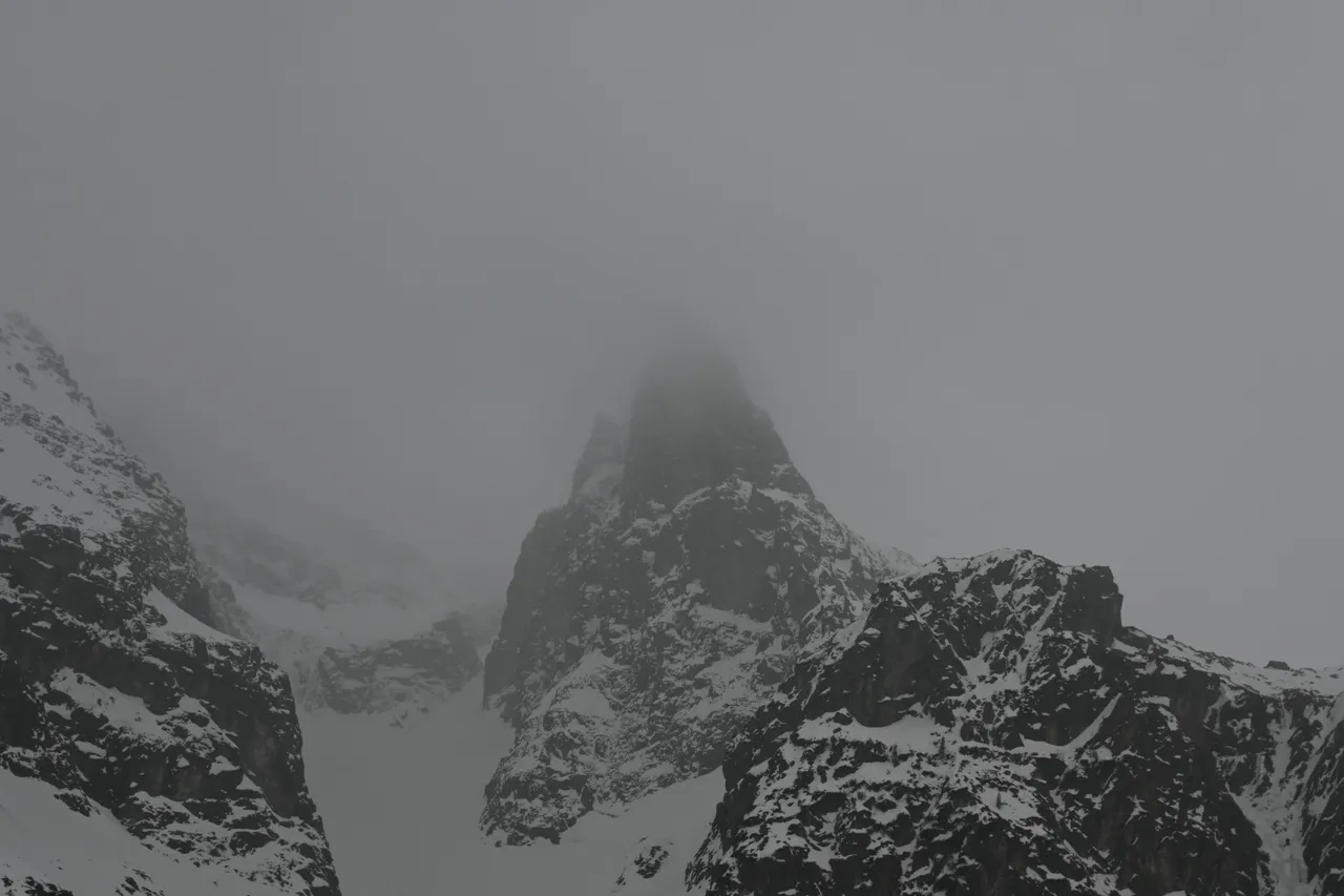 _DSC1206.JPG