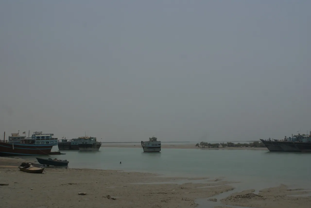 DSC08137.JPG
