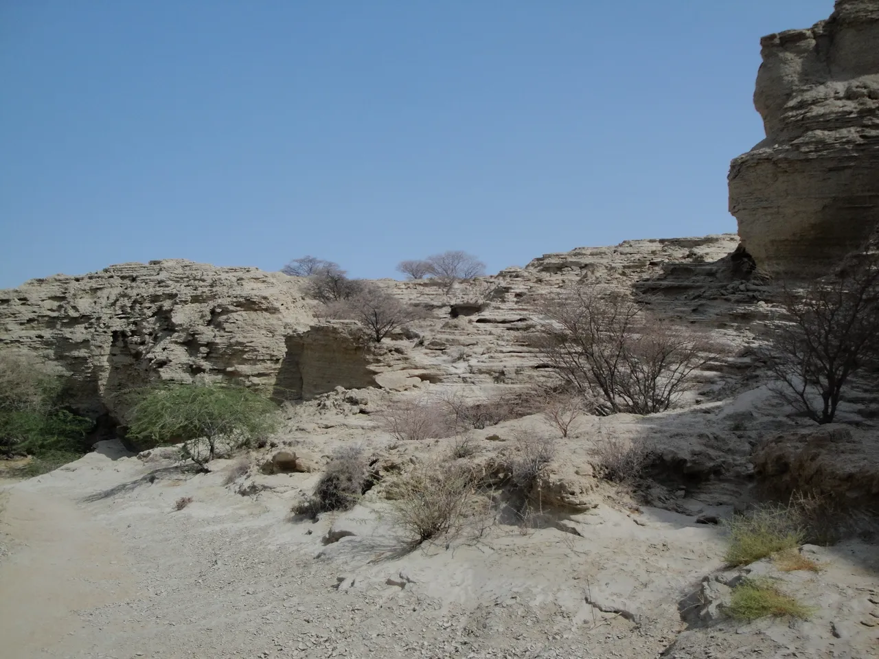 DSC00822.JPG