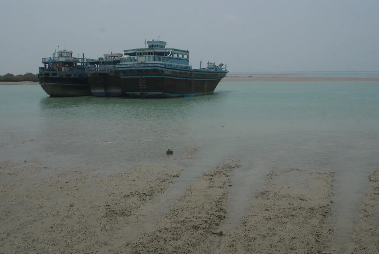DSC08083.JPG
