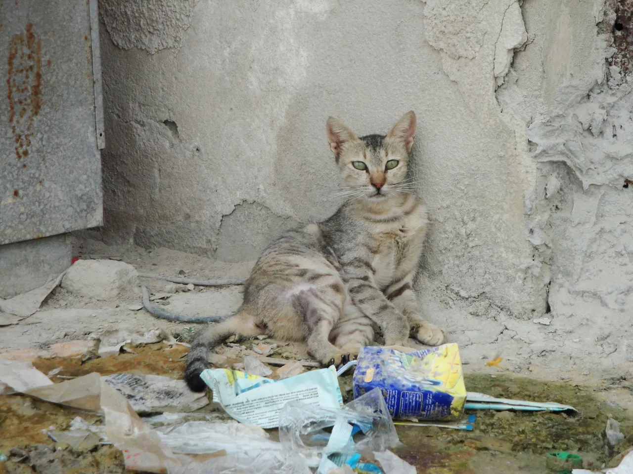 DSC00854.JPG