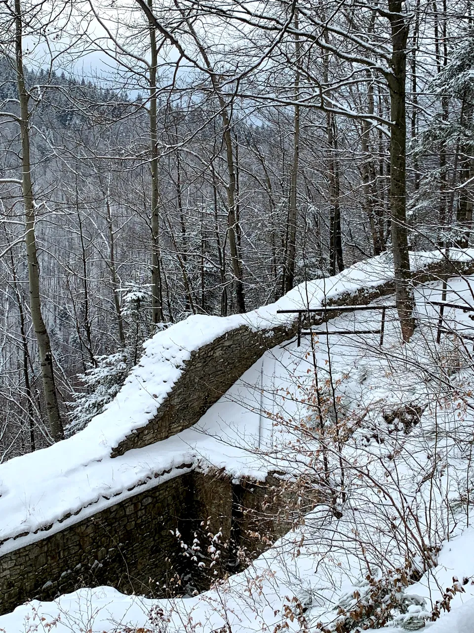 Fragment ruin Zamku Pieniny