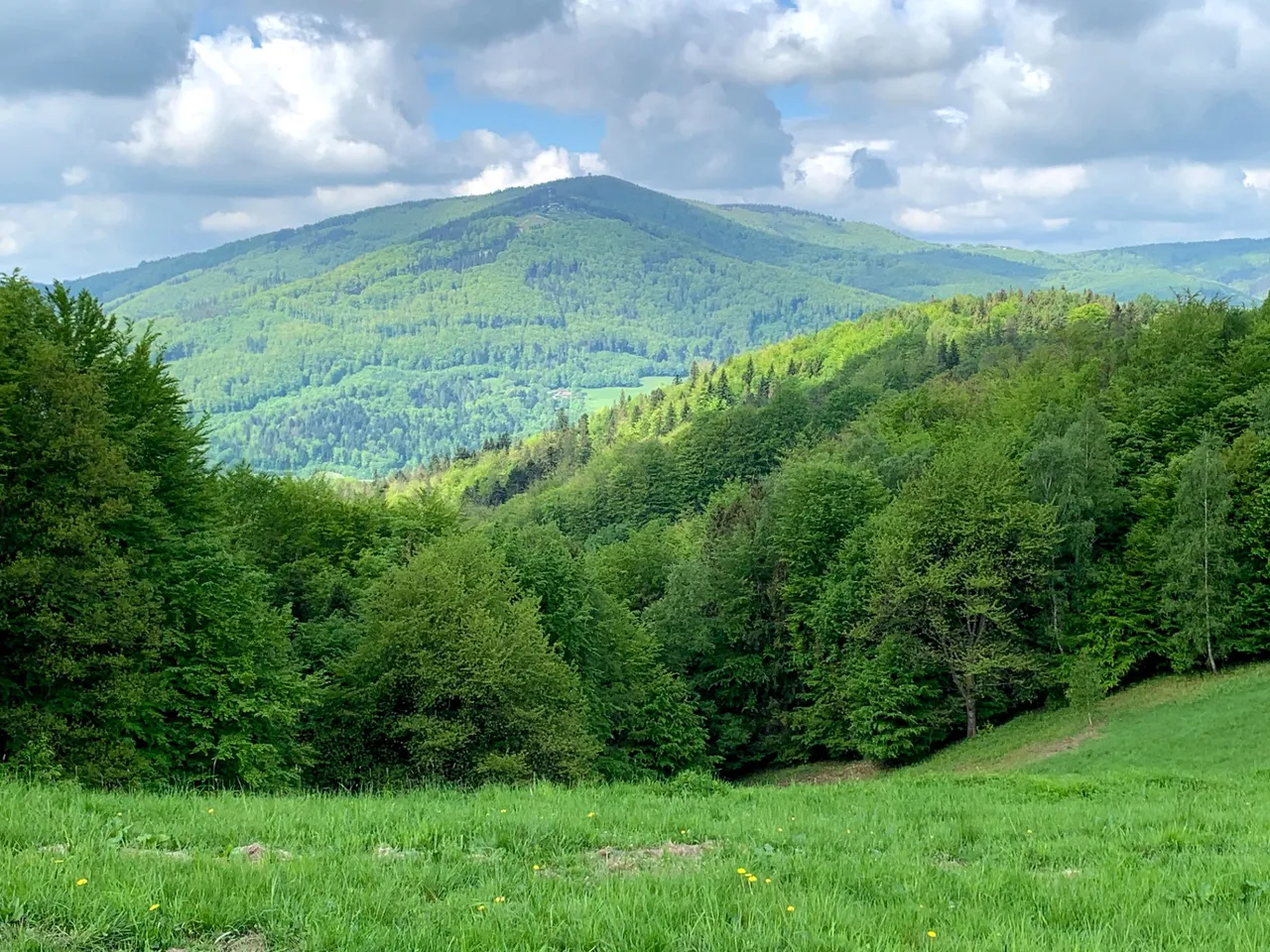 Widok z zielonego szlaku Beskidek - Ustroń Polana