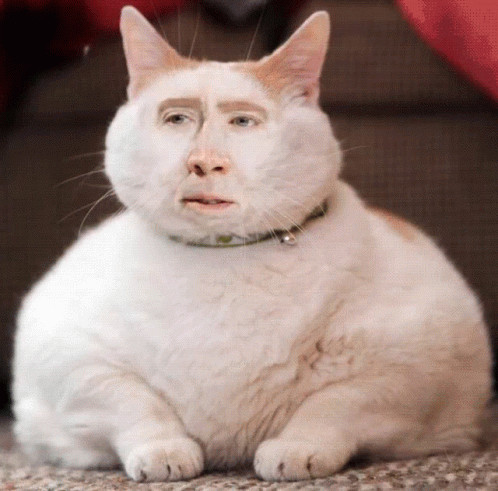 untitled.gif