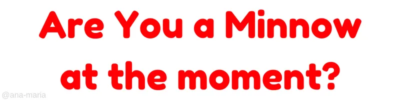 Are You a Minnow At The Moment