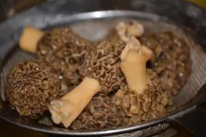 Morel Mushroom dry