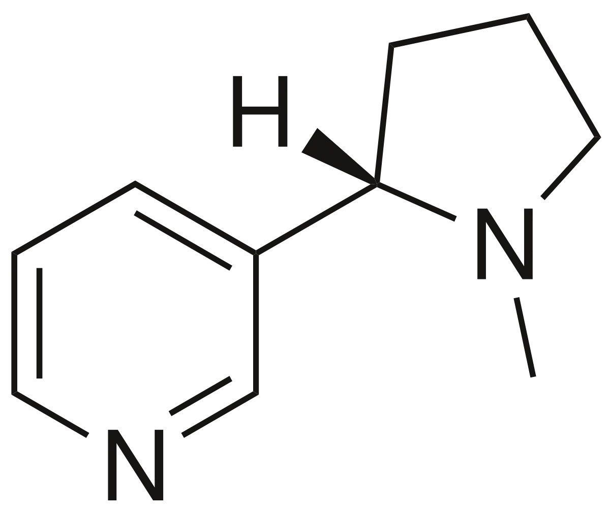 https://commons.wikimedia.org/wiki/File:Nicotine1900