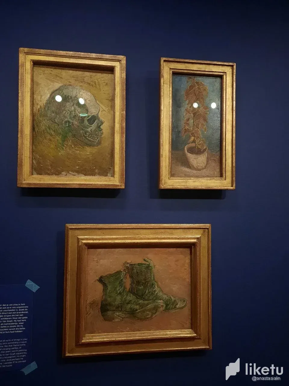 Vincent Van Gogh paintings/Картини Вінсента Ван Гога (UA/EN)