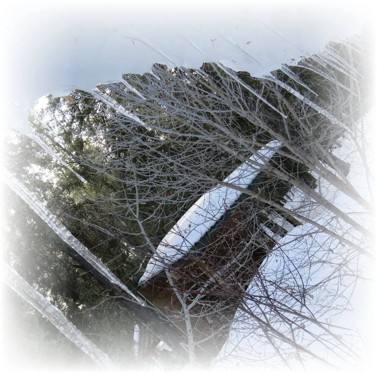 view from under the icicles sliding off studio roof looking towards snowy scene by run.JPG