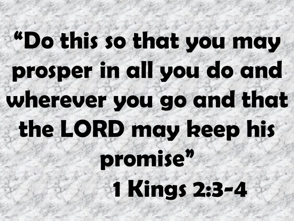 David advised Solomon. Do this so that you may prosper in all you do and wherever you go and that the LORD may keep his promise.jpg