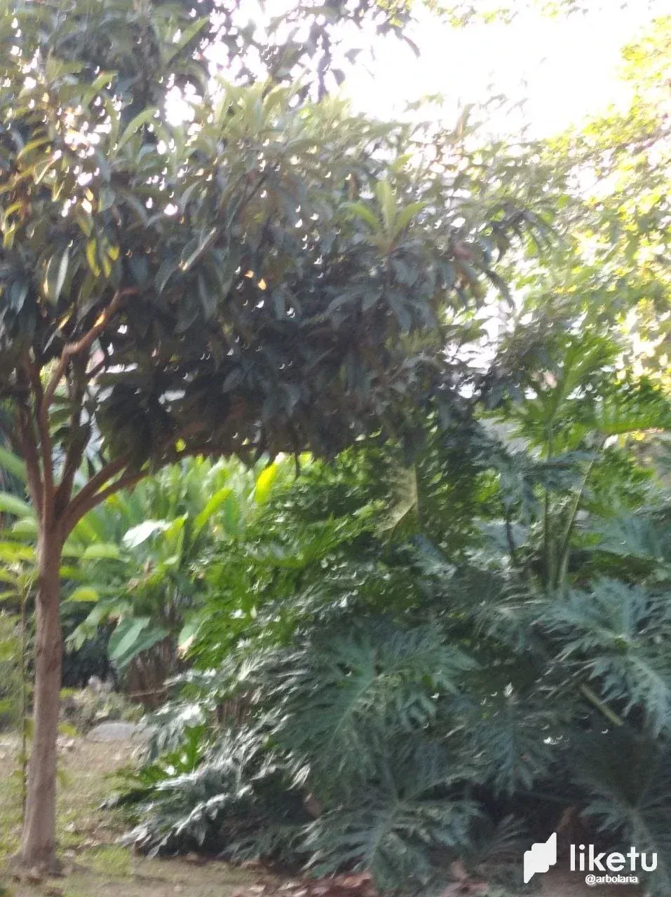 BQ7mDB6D72DfXFsL_photo1717348621_2.webp