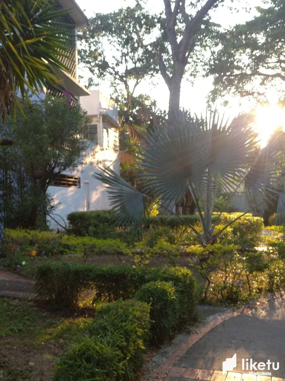 ZL4TBRgUNJRy5VOK_photo1717348621_1.webp