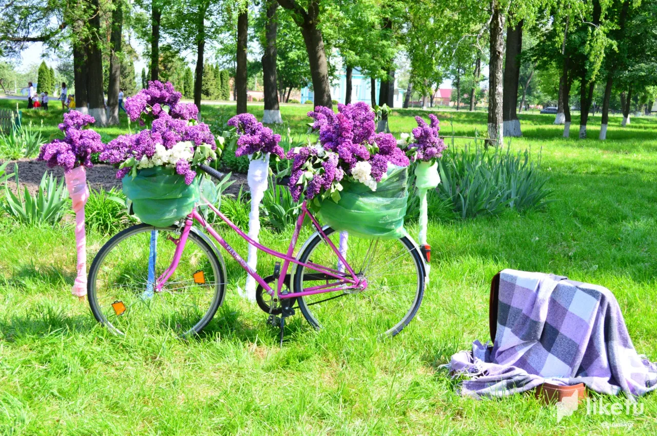 clhxr4wii015m2usz85ypal3y_DSC_0016.webp