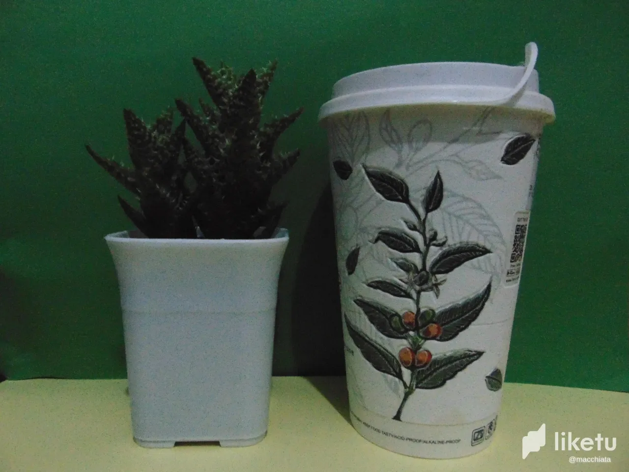 claxlh26a05tl0xmj2vw13h90_DSC00217.webp