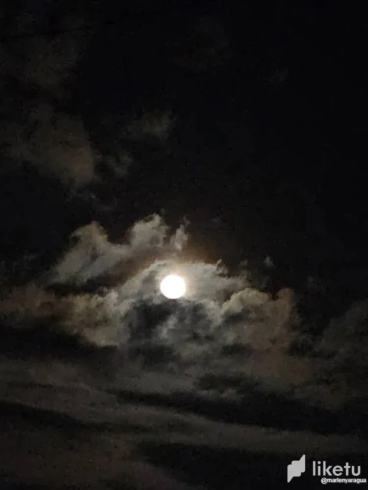 cln5oy0ig04c420szhbmcg6vv_Luna_3.webp