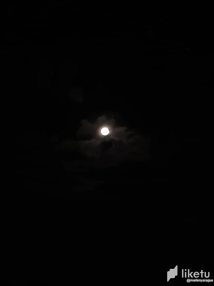 cln5oy0ld04g97ksz7wxc1qa6_Luna_4.webp