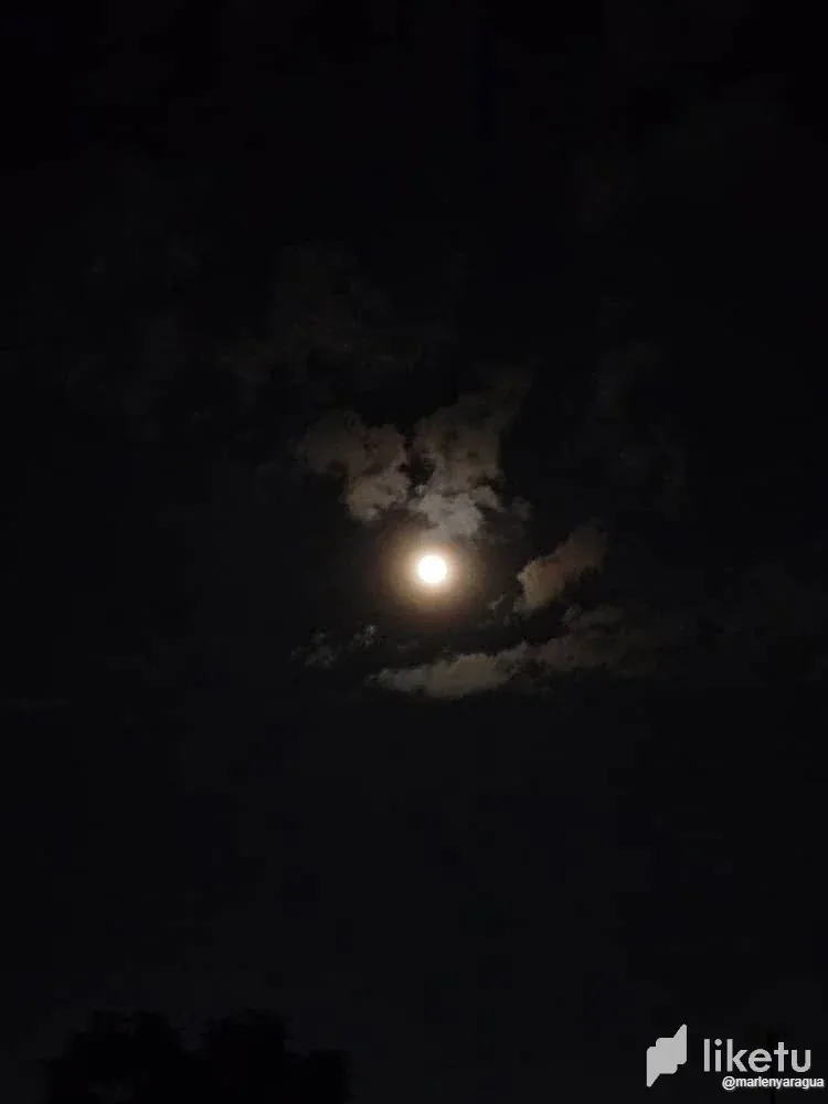 cln5oy2rl04b68asz6e3vehpp_Luna_5.webp