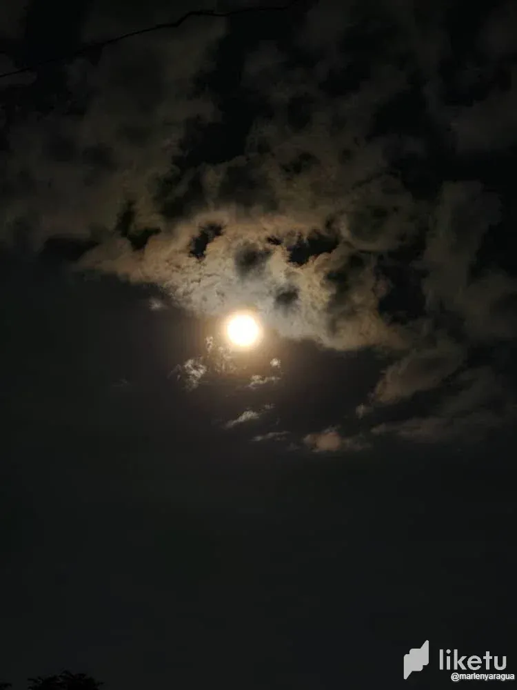 cln5oy2ux046b7xsz04bj3tbb_Luna_8.webp