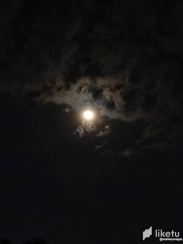 cln5oy4j204fo9dsz4npw6zb7_Luna_9.webp