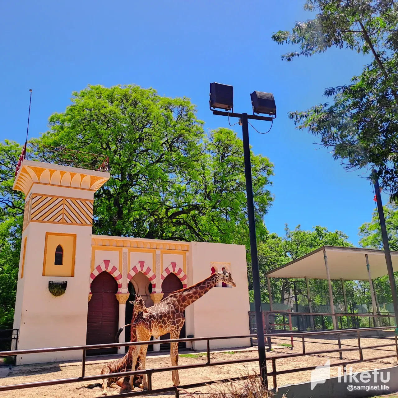 CngdkbiZl73X9o07_20231114_123821.webp