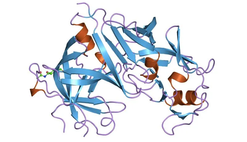 Picture Molecule Renin 800 460.png