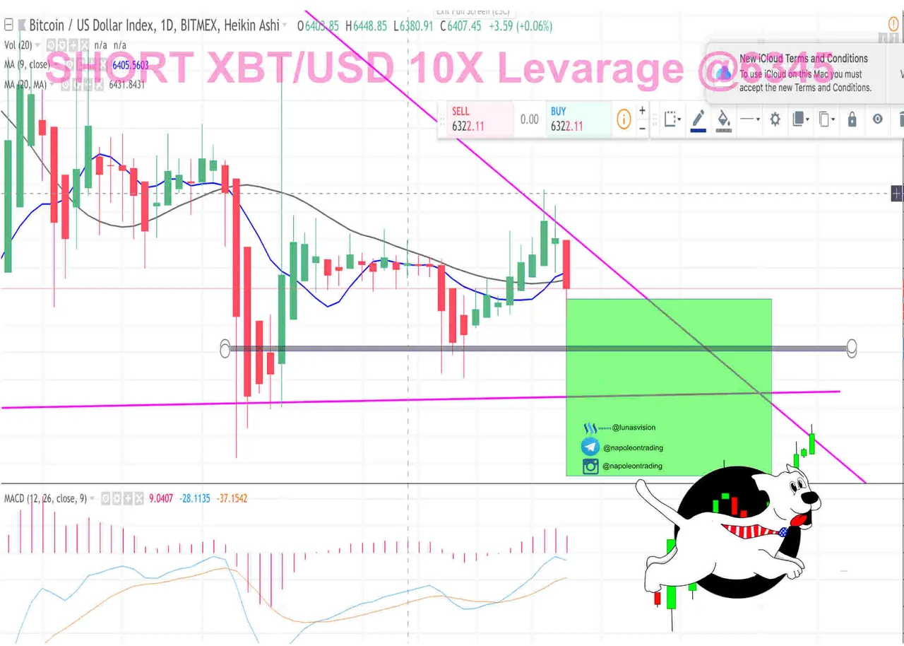 Napoleon trades bitmexshort1192018.jpg