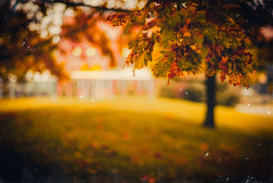 Foggy Autumn in the old City.png