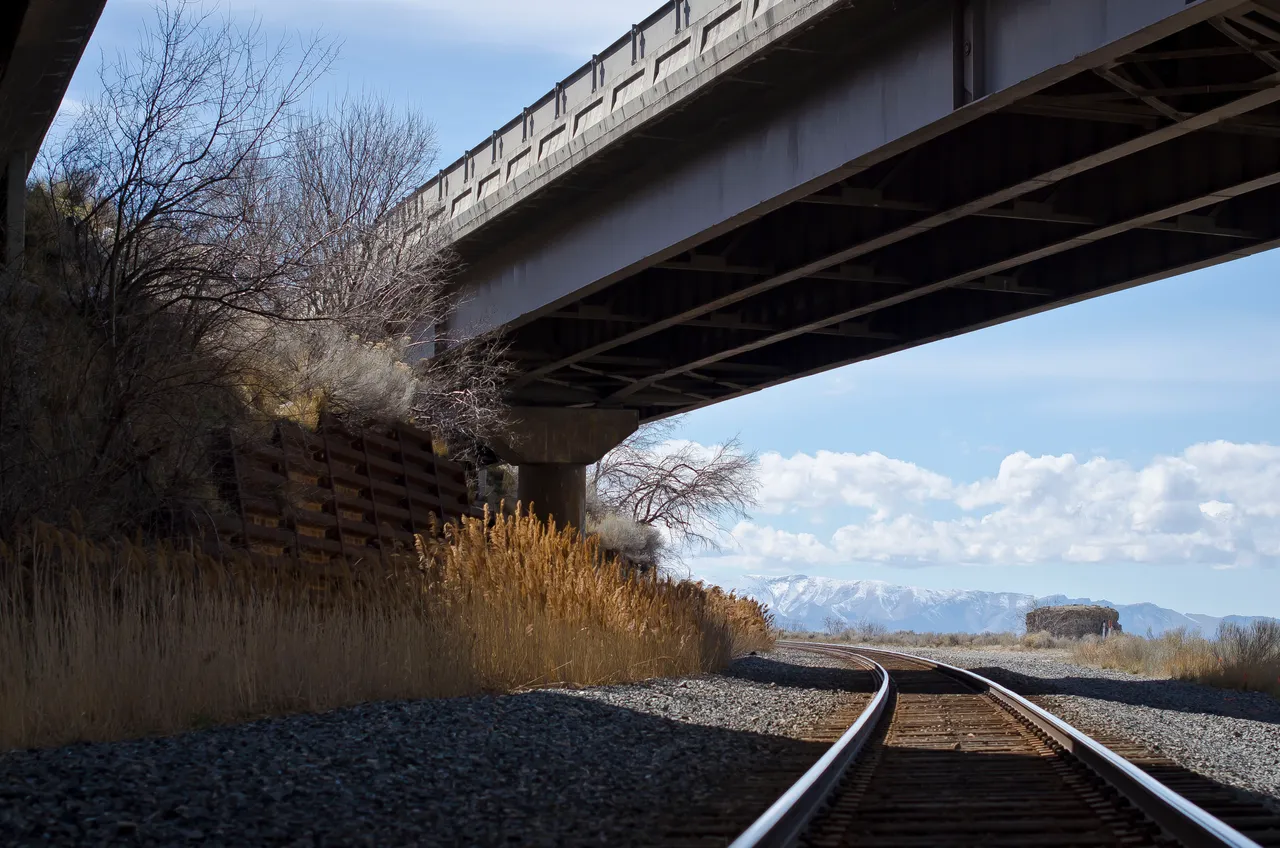 Trains tracks under the bridge.JPG