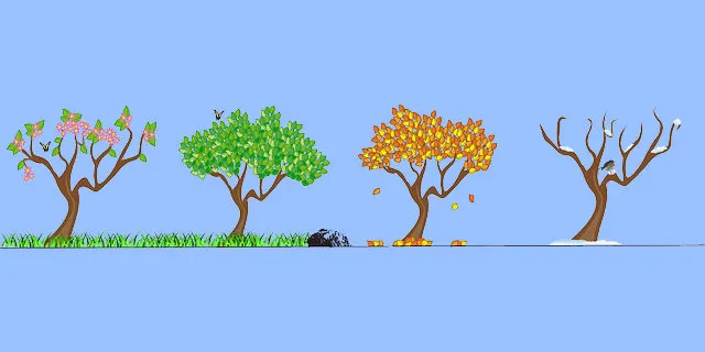 134 5+1 words seasons-158601_640.jpg