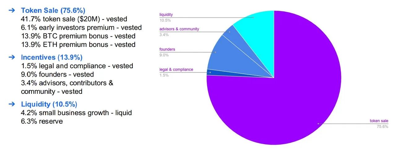 Token Allocation (300M token) .jpg