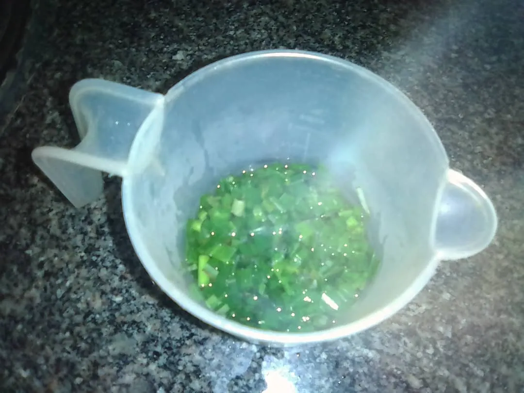 5. 90ml agua + 20 gr agua.jpeg