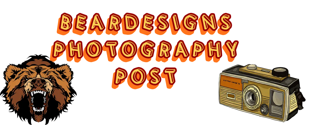 separador posts steeemit Photography 2.png