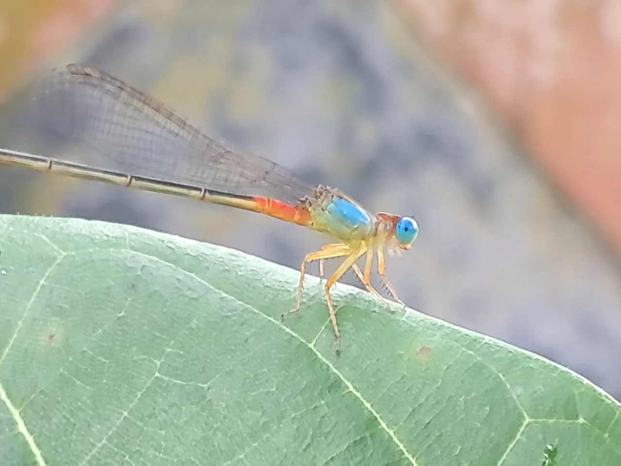 20250808_090343.jpg