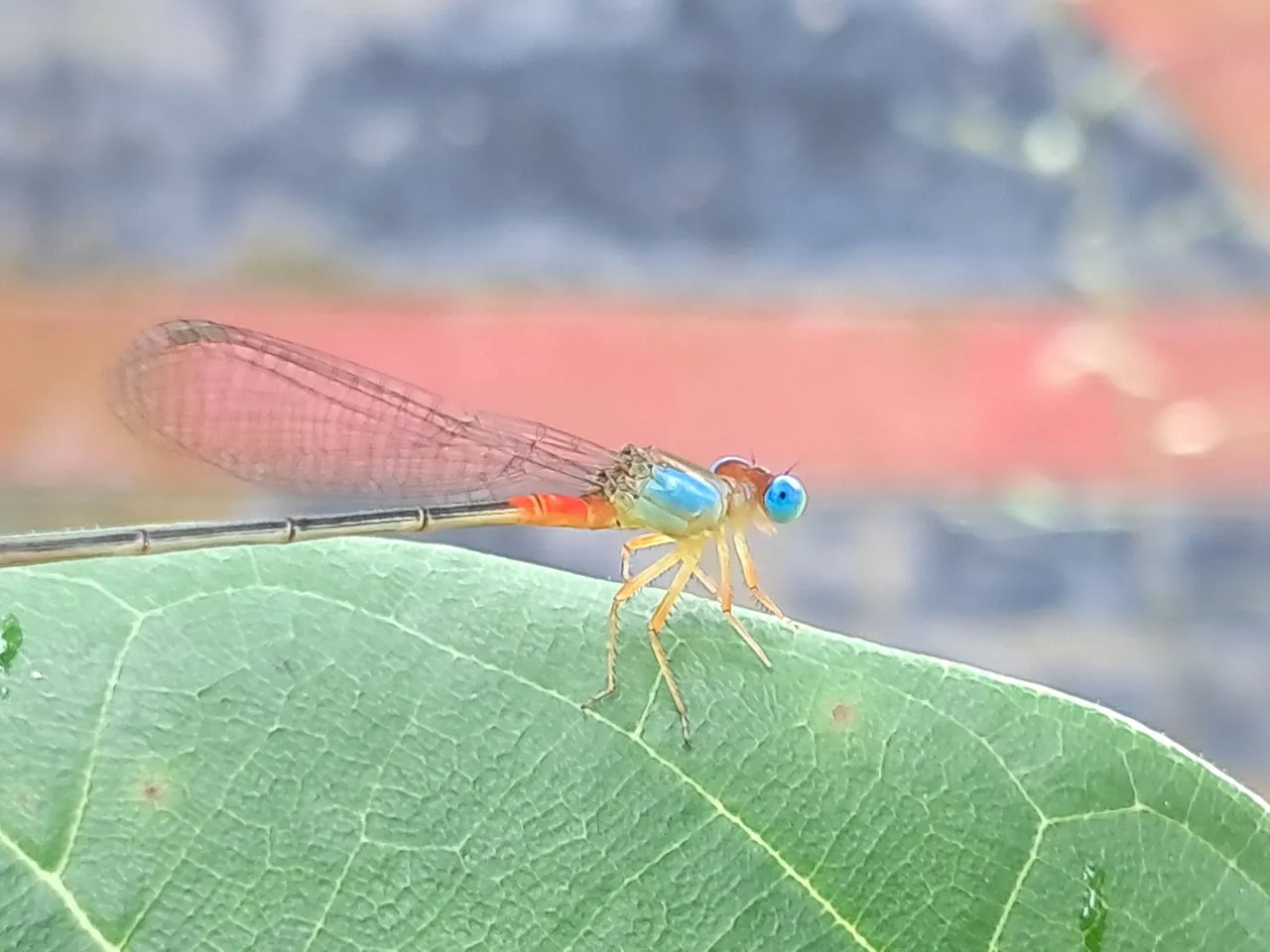 20250808_090315.jpg