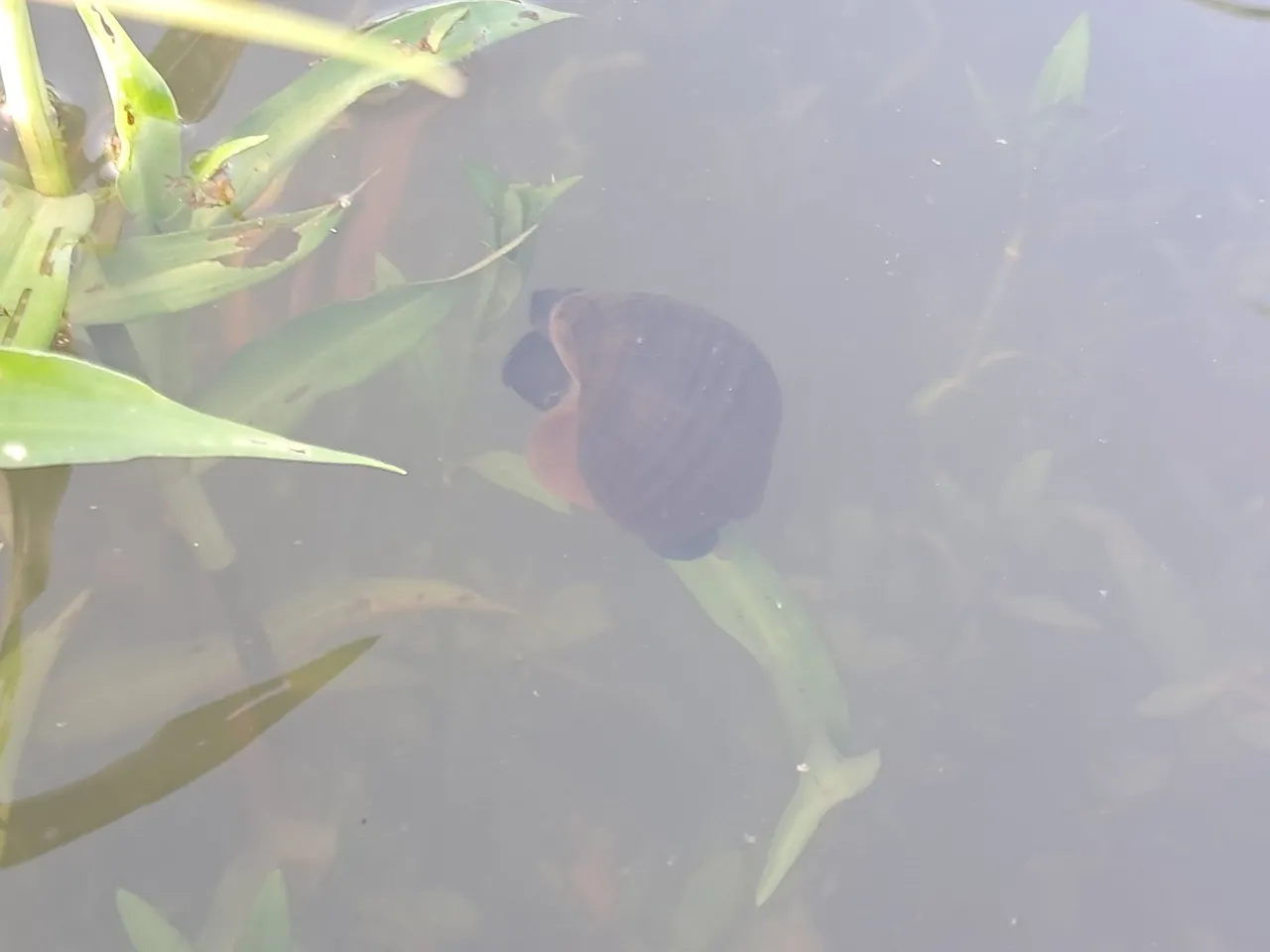 20250724_173454.jpg