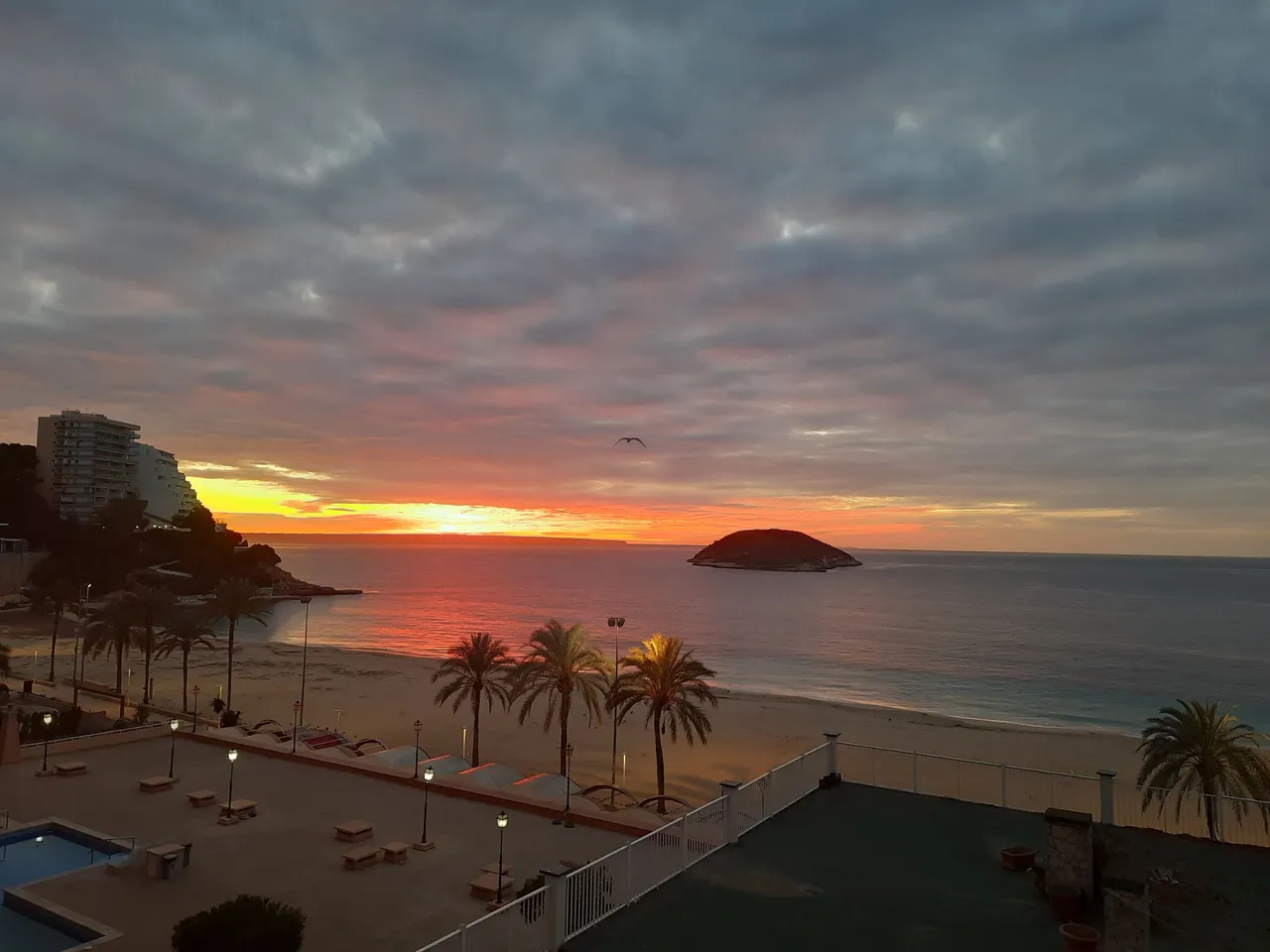 20240109_075451.jpg