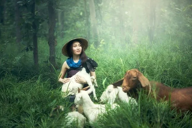 goat-g827162fed_640.jpg