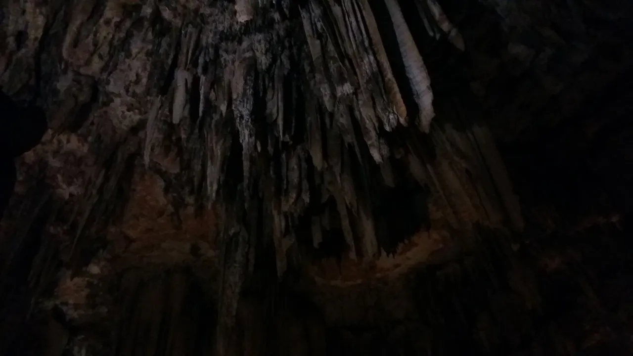 20180415_150327.jpg