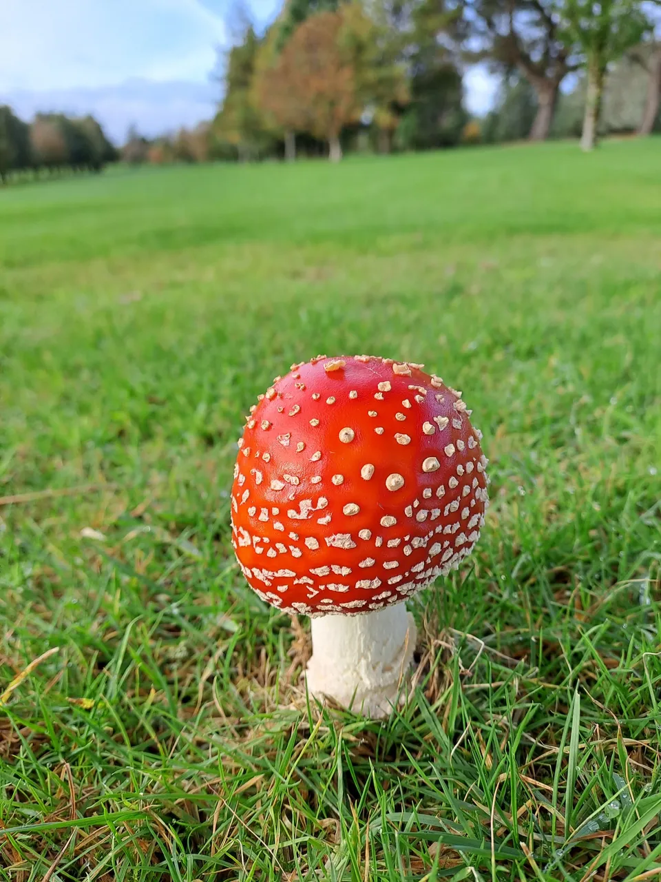 20221025_110154.jpg