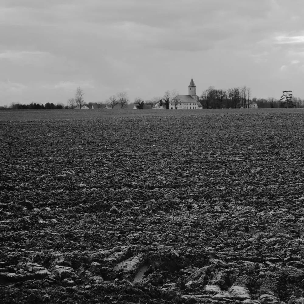 P3263033_1000px.jpg