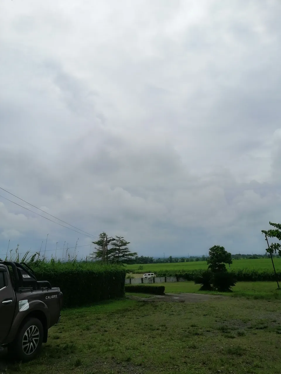 IMG_20230924_125429.jpg