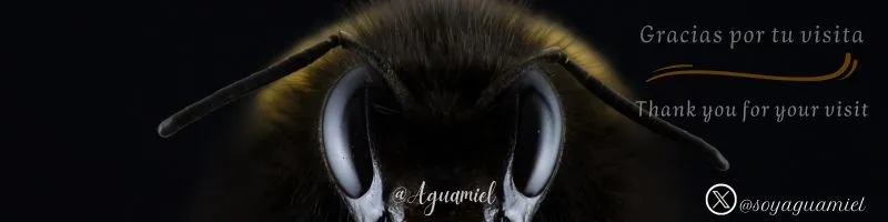 Gracias por tu visita abeja (3).jpg