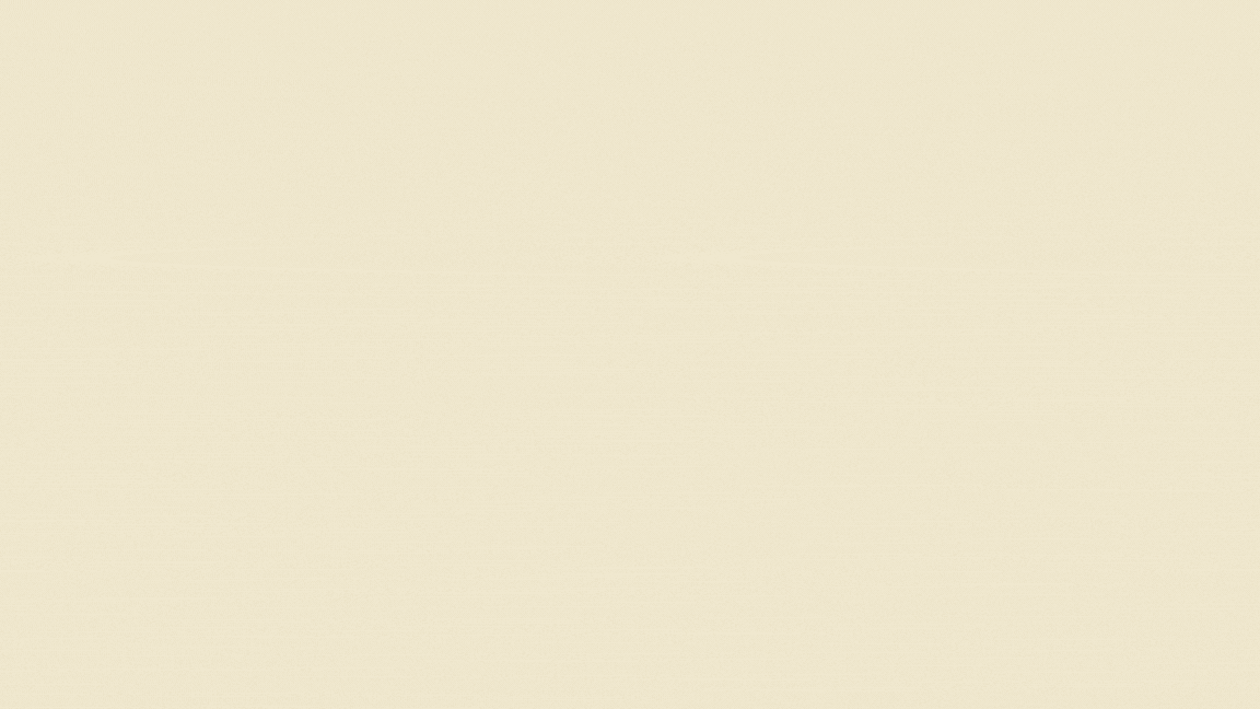 Video Refugio Animales Divertido Amarillo (1).gif