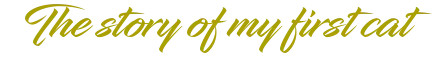 generatedtext (1).png