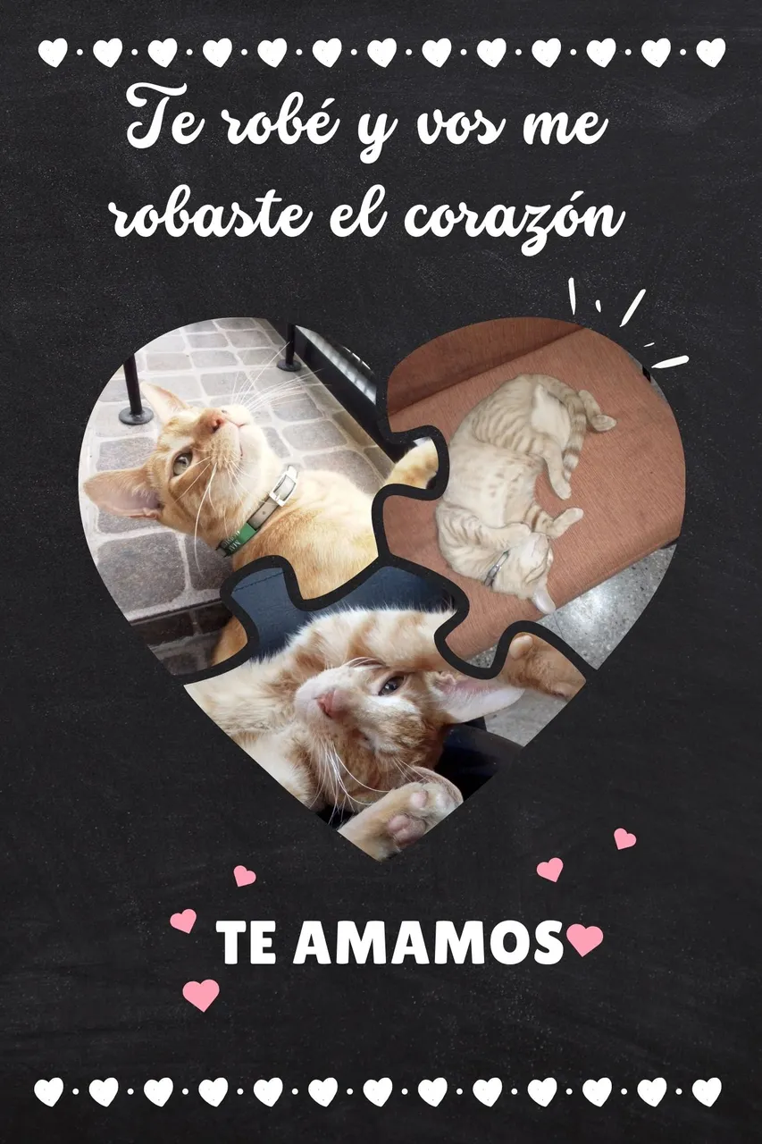 Collage pizarra de fotos de amor original negro.jpg