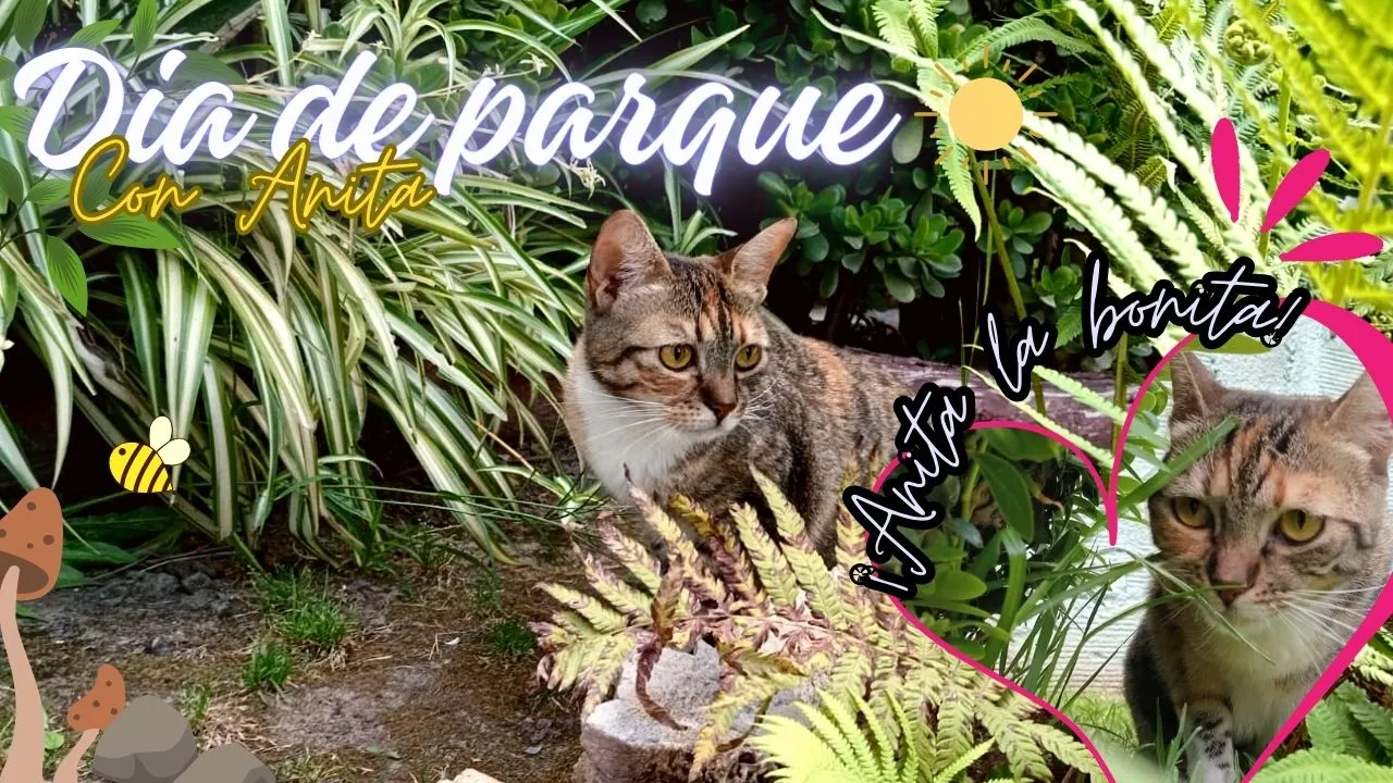 Dia de parque.jpg