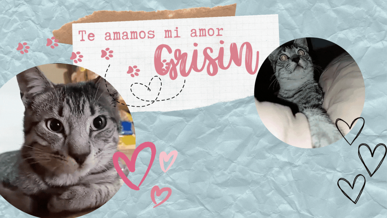 Te amamos gruñon.gif